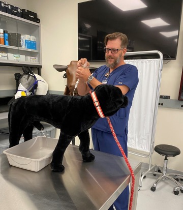 Vet tech Joseph Scarber stands with a model of a black dog on an exam table.