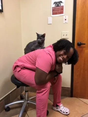 A student in scrubs sits in a veterinary office. A gray cat perches on her back.