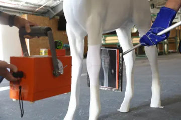 A model radiology box is pointed at a model horse.