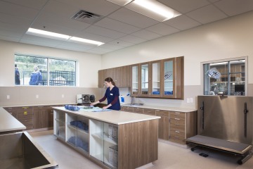 A veterinary professional stands in a clean, modern multi-use workspace. There are supply cabinets and ample counter space.
