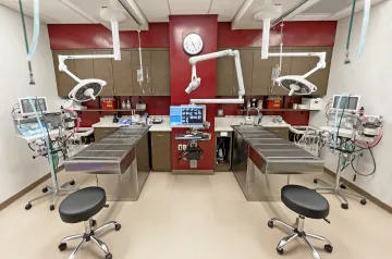 Dental Suite at VCA Valley Animal Hospital