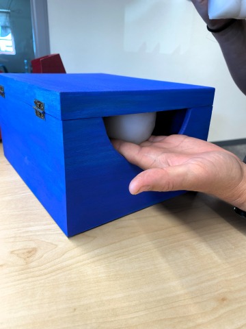 A white cleft palate model attached to the the top inside of a blue box, so students much reach their hands inside and assess the palate using only their sense of touch.