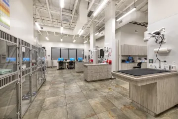 Interior shot of veterinary clinic