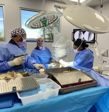 Dr. McCally and Dr. Hutcheson work together with a veterinary student to perform a surgery.