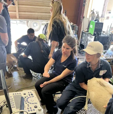 One student examines a goat while another looks at a laptop screen.