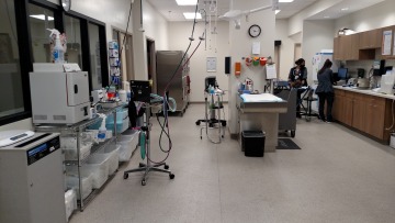 A clean treatment area at a veterinary hospital.