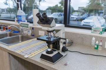 Microscope and work area