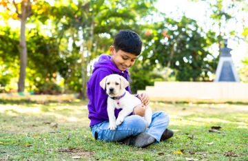 A boy around age 12 holds a yellow Lab puppy and smiles.