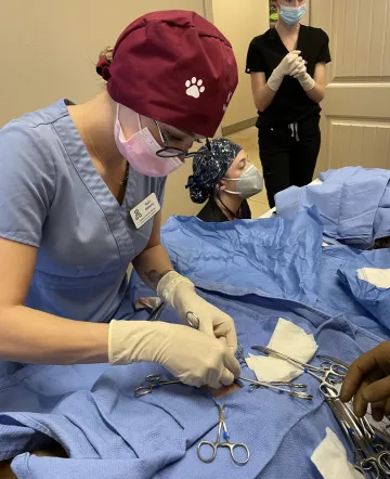 Kelci Roberts wears scrubs, a cap, and a mask and focuses intently on the surgery she is performing.