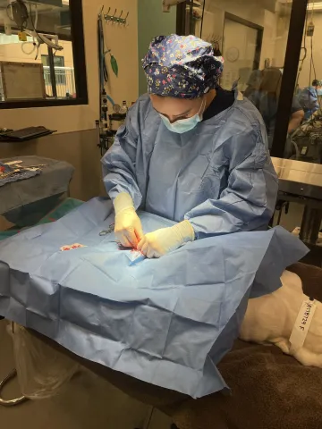 alyssa rankin in surgery