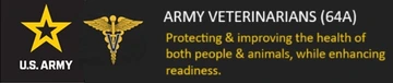 army logo