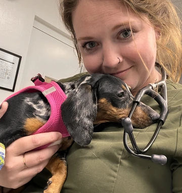 Riley doing a check up for a dachshund