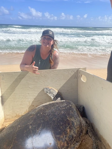 Riley with a sea turtle during the rotation in hawaii
