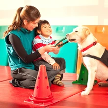 child and service dog playing