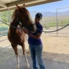 Domo Williams with a horse 